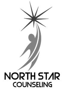north star 1-h